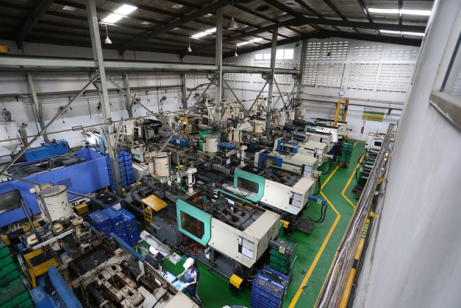 image Plant 1